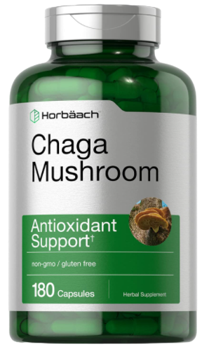 Chaga Mushroom